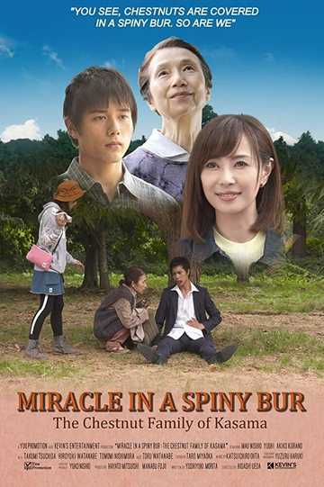 Miracle in Kasama Poster