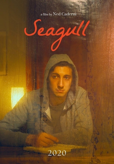 Seagull Poster