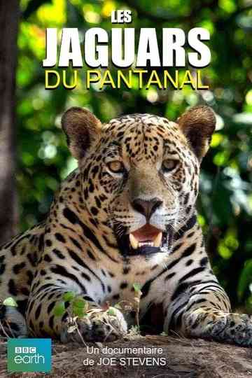 Jaguars of the Pantanal Poster