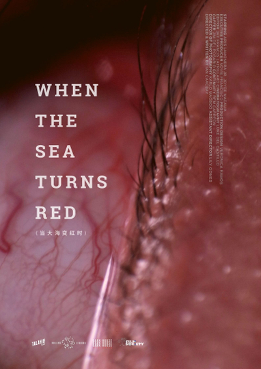 When the sea turns red Poster