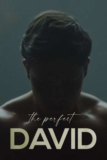 The Perfect David Poster