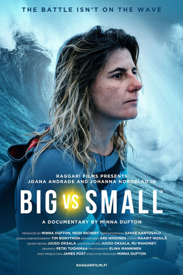 Big vs. Small Poster