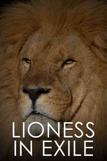 Lioness in Exile Poster