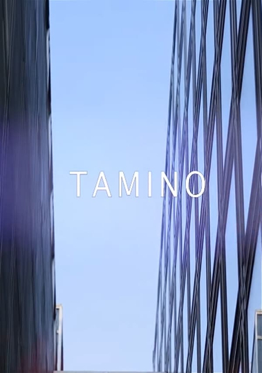 Tamino - live @ Les Concerts Volants