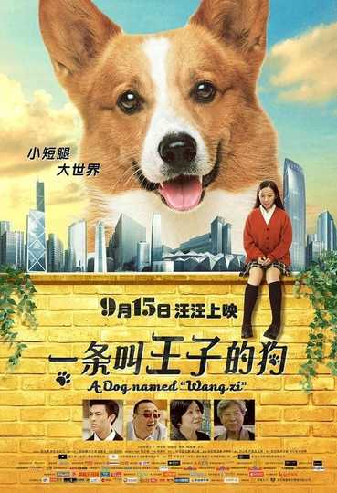 A Dog Named Wang Zi Poster