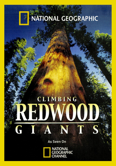 Climbing Redwood Giants