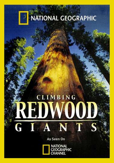 Climbing Redwood Giants Poster