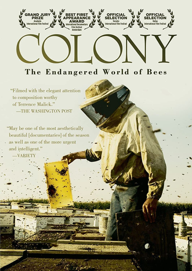 Colony