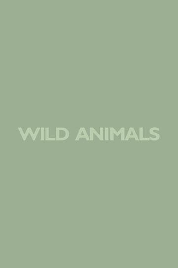 Wild Animals Poster