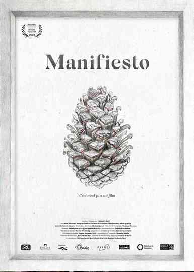 Manifiesto