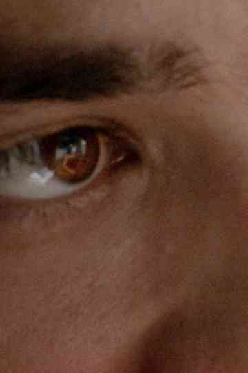Eye