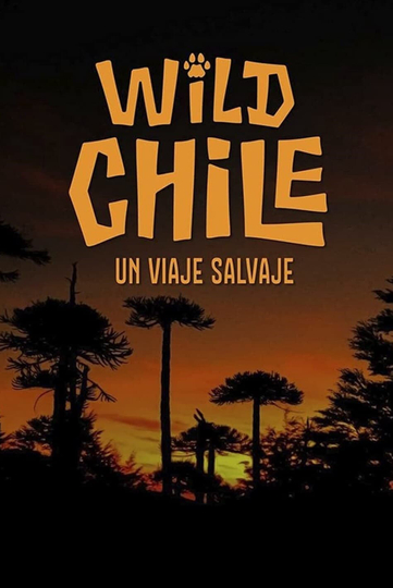 Chile A Wild Journey  The Special