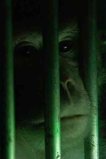 Monkeys Rats and Me Poster