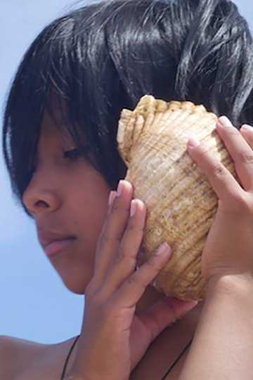 Time and the Seashell