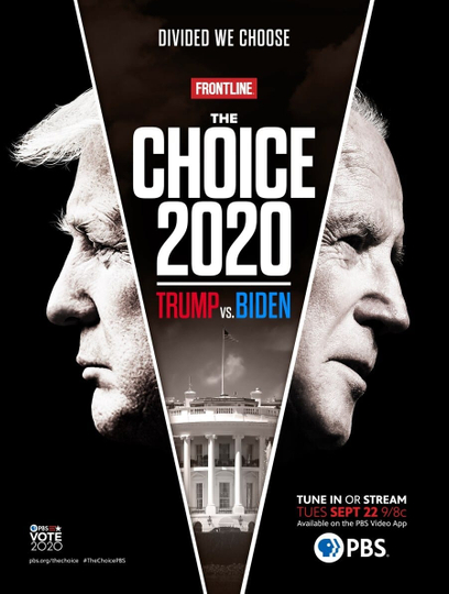 The Choice 2020: Trump vs. Biden Poster