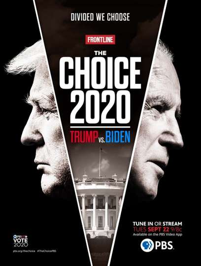 The Choice 2020 Trump vs Biden Poster