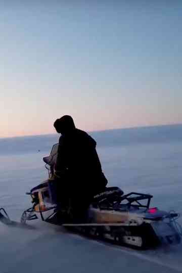 Tundra Busters