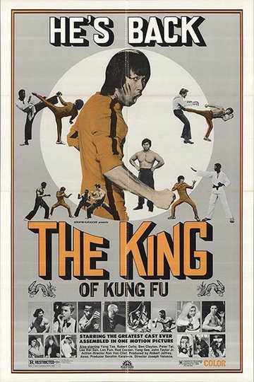 Enter the Game of Death Poster