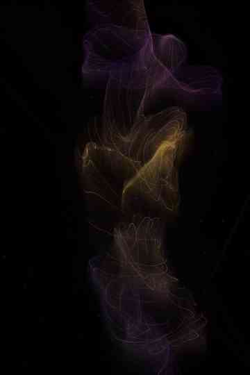 Strange Attractors
