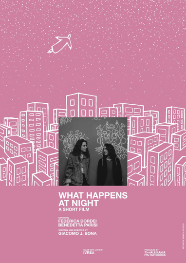 What happens at night Poster