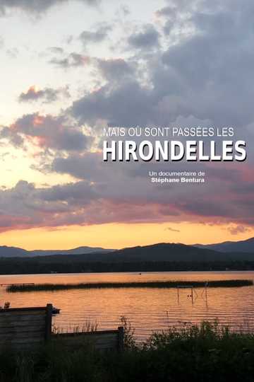 Où sont passées les hirondelles ?