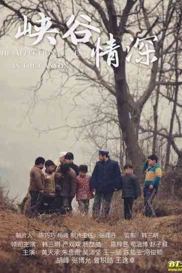 The Affechonateness in the Canyon Poster