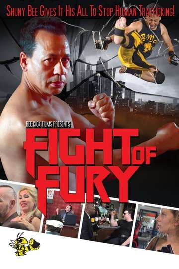 Fight of Fury Poster
