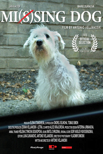 Mi(s)sing Dog Poster