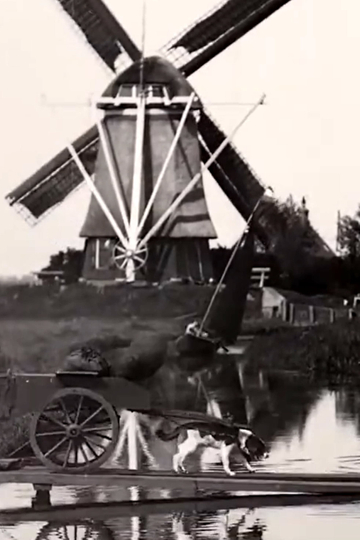 Countryside Near Amsterdam