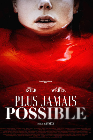 Plus jamais possible Poster