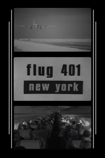 Flight 401 to New York