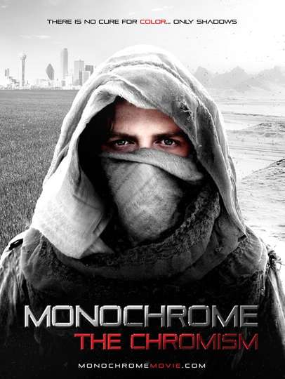 Monochrome The Chromism