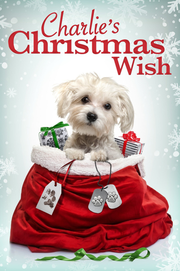 Charlie's Christmas Wish