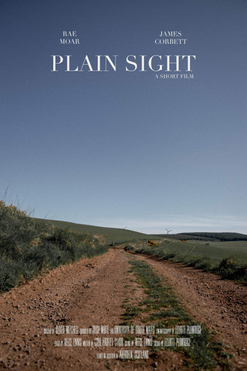 Plain Sight Poster