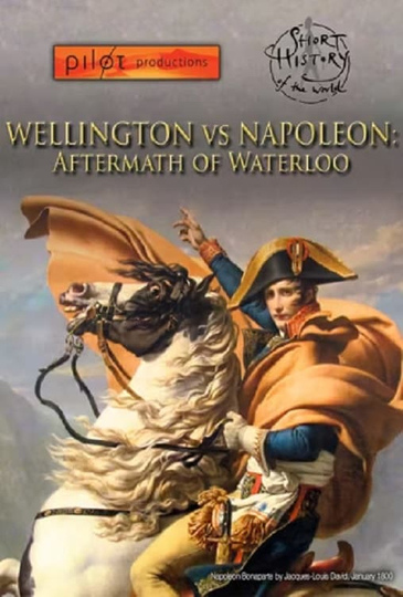 Wellington vs Napoleon Aftermath of Waterloo