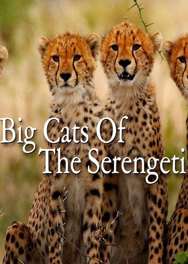 Big Cats of the Serengeti Poster