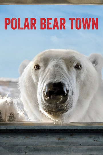 Polar Bear Town Poster