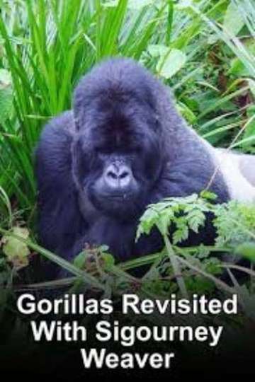 Gorillas Revisited with Sigourney Weaver Poster