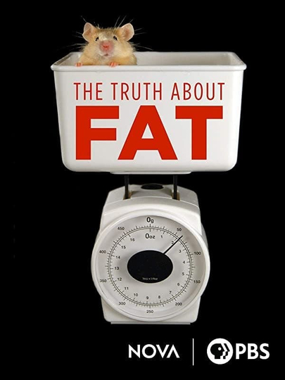 The Truth About Fat