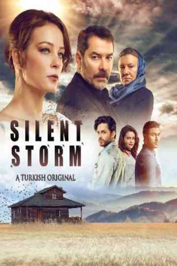 Swallow Storm
