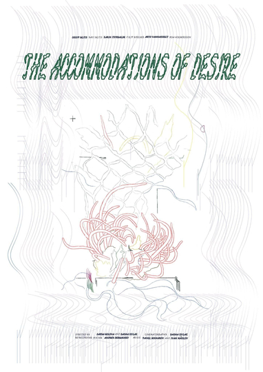 The Accommodations Of Desire Poster