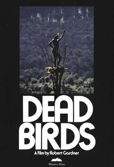 Dead Birds Poster