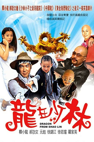 Dragon from Shaolin Poster