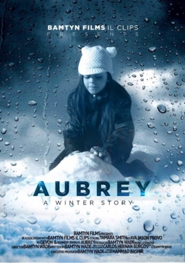 A Winter Story Poster