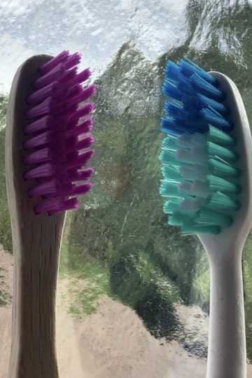 When Toothbrush Met Toothbrush