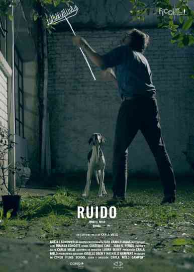 Ruido Poster