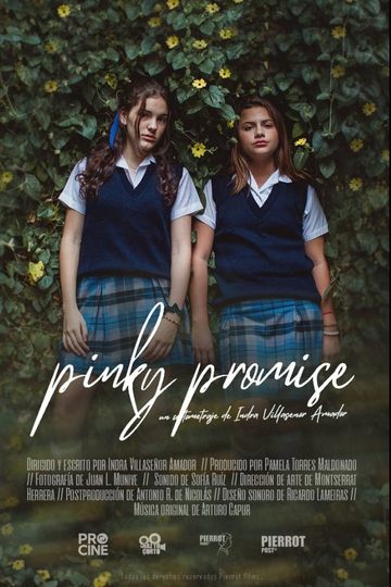 Pinky Promise Poster