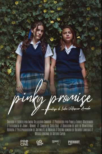 Pinky Promise Poster