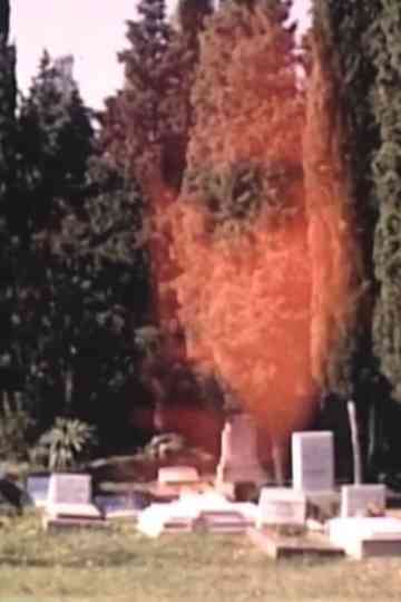 SelfPortrait at the Graveyard Poster