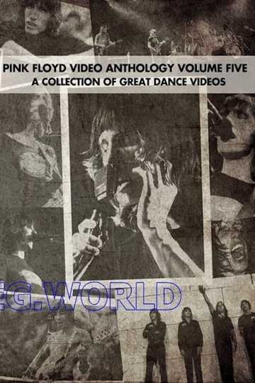 Pink Floyd  Video Anthology Vol 5